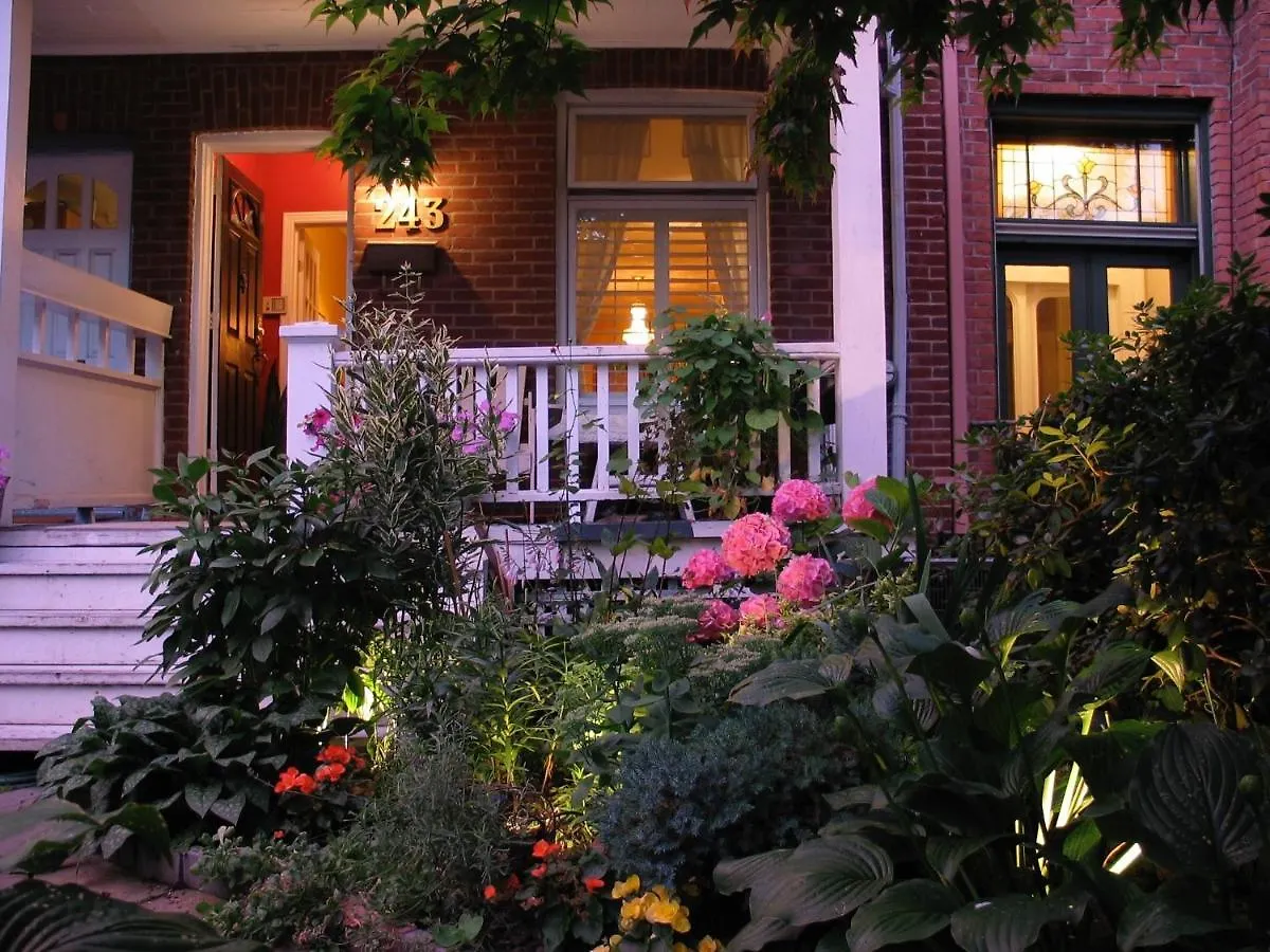 A Seaton Dream Hotel Toronto